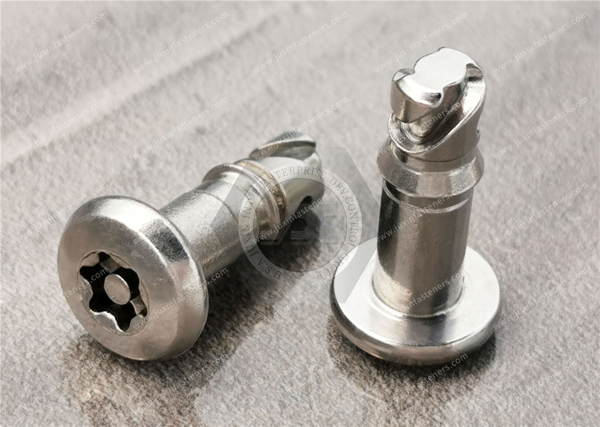 Vierteldrehbolzen, Größe 6, T-Typ TORX-Flachkopf-Maschinenschrauben mit Stift, Edelstahl, Trockenschmiermittel