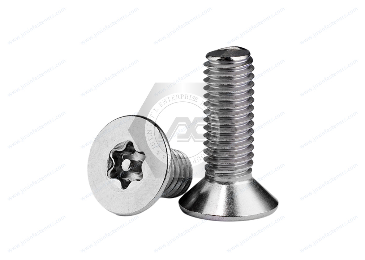 Manipulationssichere Torx-Flachkopfschrauben aus Edelstahl