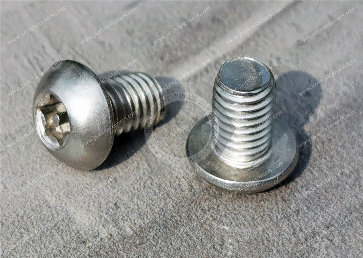 Manipulationssichere Torx-Schrauben mit Halbrundkopf und Sicherheitsstift aus Edelstahl