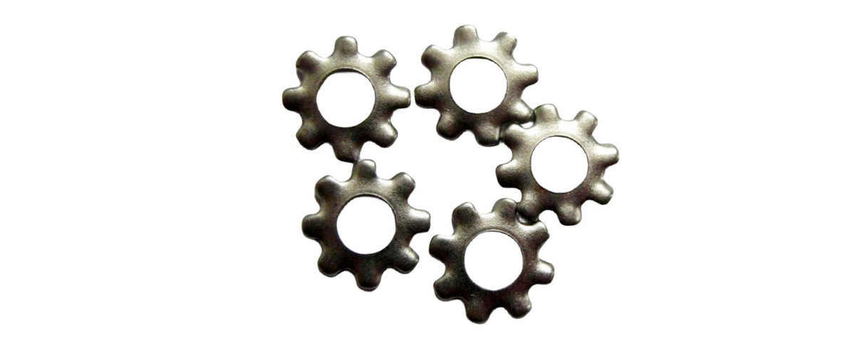 Außenzahnscheiben aus Edelstahl (SAE J403, J405, ASTM B591) Außenzahnscheiben aus Edelstahl (SAE J403, J405, ASTM B591)