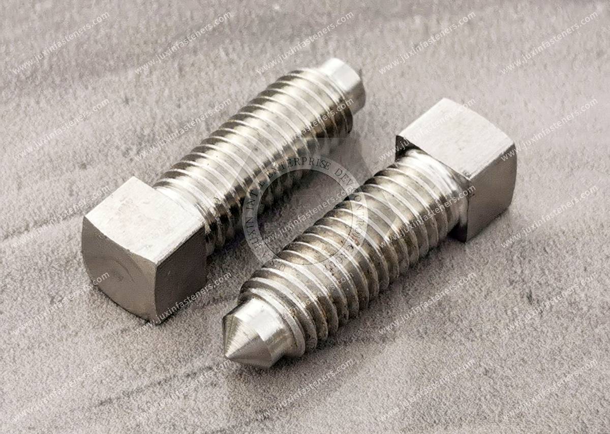 Edelstahl-Vierkantschrauben mit verlängerter Spitze Edelstahl-Vierkantschrauben mit verlängerter Spitze
