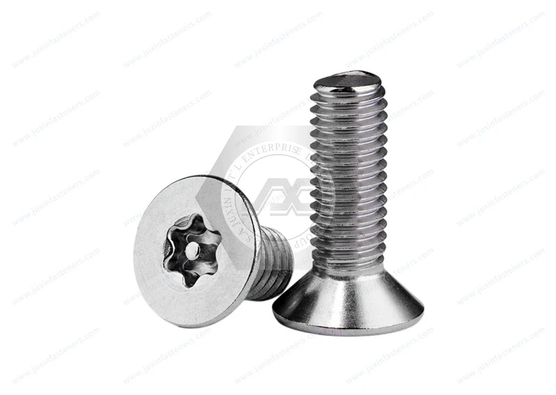 Manipulationssichere Torx-Flachkopfschrauben aus Edelstahl