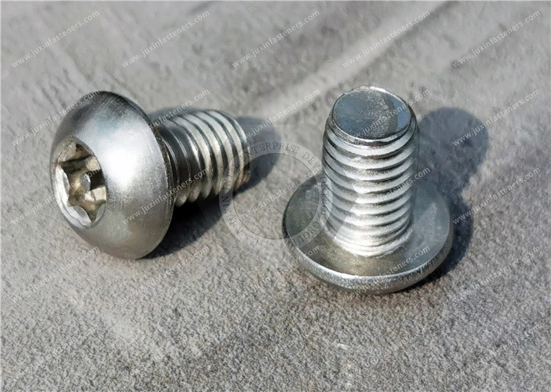 Manipulationssichere Torx-Schrauben mit Halbrundkopf und Sicherheitsstift aus Edelstahl