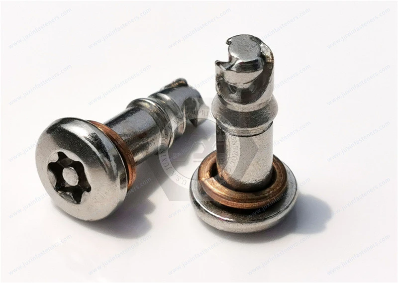 Vierteldrehbolzen, Gr&ouml;&szlig;e 6, T-Typ TORX-Flachkopf-Maschinenschrauben mit Stift, Edelstahl, Trockenschmiermittel