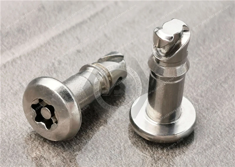 Vierteldrehbolzen, Gr&ouml;&szlig;e 6, T-Typ TORX-Flachkopf-Maschinenschrauben mit Stift, Edelstahl, Trockenschmiermittel